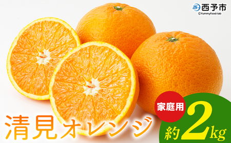 [清見オレンジ 家庭用 約2kg] 柑橘 みかん ミカン 蜜柑 果物 くだもの フルーツ きよみ キヨミ 訳あり ご自宅用 国産 愛媛産 特産品 おれんじはーと 食べて応援 西宇和 愛媛県 西予市[常温]『2026年3月上旬〜3月下旬に順次出荷予定』