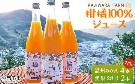 [柑橘100%ジュース (温州みかん4本&愛果28号2本)] 温州みかん 愛果28号 紅まどんな 高級柑橘 ストレートジュース 果汁100% ミカン 蜜柑 果物 かじわらFARM 愛媛県 西予市[常温]『1か月以内に順次出荷予定』