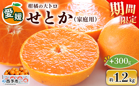 [せとか(家庭用)約1.2kg+300g] 自宅用 訳あり ワケアリ 果物 くだもの フルーツ ミカン みかん セトカ 蜜柑 高級柑橘 柑橘の大トロ 特産品 笑丸 愛媛県 西予市 常温『2026年3月上旬〜4月上旬頃まで順次出荷予定』AAN0079