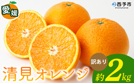 [清見オレンジ 訳あり 約2kg] 柑橘 みかん ミカン 蜜柑 果物 くだもの フルーツ きよみ キヨミ 訳アリ ご自宅用 国産 愛媛産 特産品 おれんじはーと 食べて応援 西宇和 愛媛県 西予市[常温]『2026年3月上旬〜3月下旬に順次出荷予定』MOH0017