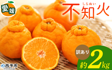 [不知火 訳あり 約2kg] 柑橘 みかん ミカン 蜜柑 果物 くだもの フルーツ しらぬい シラヌイ デコポン でこぽん 訳アリ ご自宅用 国産 愛媛産 特産品 おれんじはーと 食べて応援 西宇和 愛媛県 西予市[常温]『2026年3月上旬〜3月下旬に順次出荷予定』MOH0016