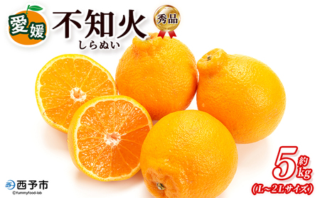 [秀品 不知火 (L〜2Lサイズ) 約5kg]愛媛 蜜柑 ミカン みかん 果物 フルーツ 柑橘 国産 秀品 ギフト 贈答用 しらぬひ しらぬい シラヌイ 不知火 愛媛県産 西予市産 西宇和 特産品 丸二青果 愛媛県 西予市[常温]『2026年2月〜3月頃に順次出荷予定』