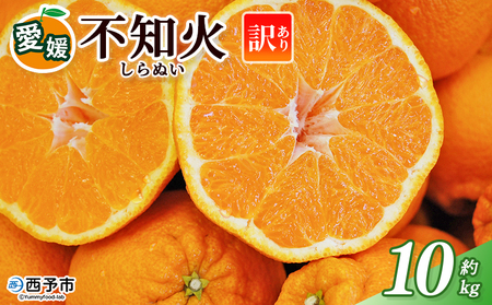 [訳あり 不知火 (サイズ混合) 約10kg] 10キロ 愛媛 蜜柑 ミカン みかん 果物 フルーツ 柑橘 国産 しらぬひ しらぬい シラヌイ 不知火 愛媛県産 西予市産 西宇和 特産品 丸二青果 愛媛県 西予市[常温]『2026年2月〜3月頃に順次出荷予定』