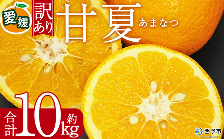 [訳あり 甘夏 (サイズ混合) 約10kg]あまなつ 爽やか 程よい酸味 愛媛 蜜柑 ミカン みかん 果物 フルーツ 柑橘 国産 訳アリ ご家庭用 愛媛県産 西予市産 西宇和 特産品 丸二青果 愛媛県 西予市[常温]『2026年3月上旬から順次出荷予定』MMY0022