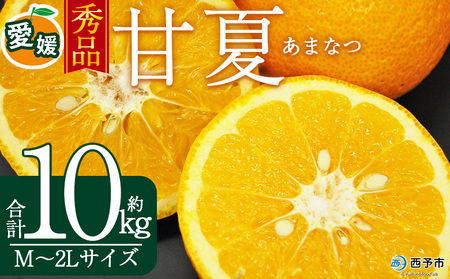 [秀品 甘夏 (M〜2Lサイズ) 約10kg] あまなつ 愛媛 蜜柑 ミカン みかん 果物 フルーツ 柑橘 国産 秀品 ギフト 贈答用 贈り物 贈物 プレゼント 愛媛県産 西予市産 西宇和 特産品 丸二青果 愛媛県 西予市[常温]『2026年3月上旬から順次出荷予定』MMY0023