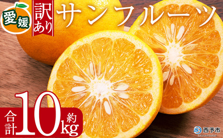 [訳あり サンフルーツ (サイズ混合) 約10kg]みずみずしい 果汁 爽やか 酸味 愛媛 蜜柑 ミカン みかん 果物 フルーツ 柑橘 国産 訳アリ ご家庭用 愛媛県産 西予市産 西宇和 特産品 丸二青果 愛媛県 西予市[常温]『2026年3月上旬から順次出荷予定』MMY0024