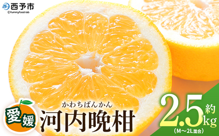 [愛媛県産 河内晩柑 約2.5kg(M〜2L)] 柑橘 みかん フルーツ 和製グレープフルーツ ジューシー 初夏 旬 サイズ混合 西宇和 国産 さっぱり 甘い 農園オレンジとムラサキ 西予市[常温]『2026年4月〜7月迄に順次出荷』MOM0004