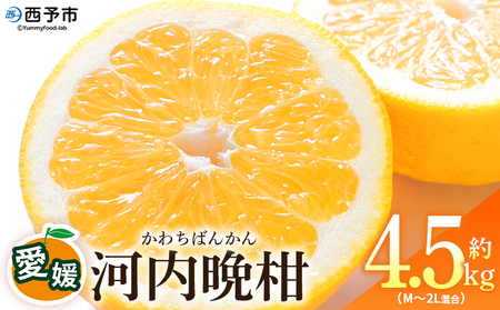＜愛媛県産 河内晩柑 約4.5kg（M～2L）＞ 柑橘 みかん フルーツ 和製グレープフルーツ ジューシー 初夏 旬 サイズ混合 西宇和 国産 さっぱり 甘い 農園オレンジとムラサキ 西予市【常温】『2026年4月～7月迄に順次出荷』MOM0005