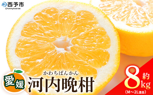 ＜愛媛県産 河内晩柑 約8kg（M～2L）＞ 柑橘 みかん フルーツ 和製グレープフルーツ ジューシー 初夏 旬 サイズ混合 西宇和 国産 さっぱり 甘い 農園オレンジとムラサキ 西予市【常温】『2026年4月～7月迄に順次出荷』MOM0006