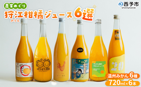 [農家めぐり 狩江柑橘ジュース 6選(温州みかん)] 温州みかん 南柑20号 愛媛県産 飲料 ジュース 国産 みかん 蜜柑 ミカン ストレート 果汁 セット 詰合せ 6種 6本 企業組合かりエンジョイ 愛媛県 西予市 [常温]『4月中旬以降順次出荷予定』