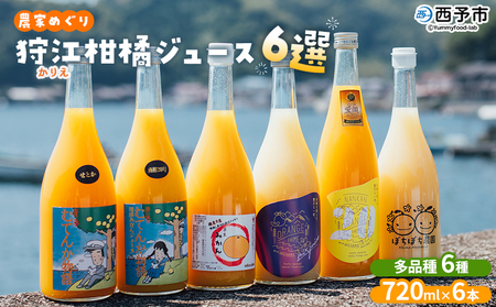 [農家めぐり 狩江柑橘ジュース 6選(多品種)] 多品種 アソート 愛媛県産 飲料 ジュース 国産 みかん 蜜柑 ミカン ストレート 果汁 セット 飲み比べ 詰合せ 6本 企業組合かりエンジョイ 愛媛県 西予市 [常温]『4月中旬以降順次出荷予定』