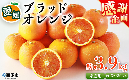 [愛媛県西予市産 ブラッドオレンジ 家庭用 豊作 サンキューパック 合計約3.9kg] 訳あり ワケアリ 甘酸っぱい 柑橘 果物 フルーツ くだもの みかん ミカン 国産 サイズ不揃い 傷あり 食べて応援 宇都宮物産[常温]『2026年3月〜4月下旬迄に順次出荷』UUB0100