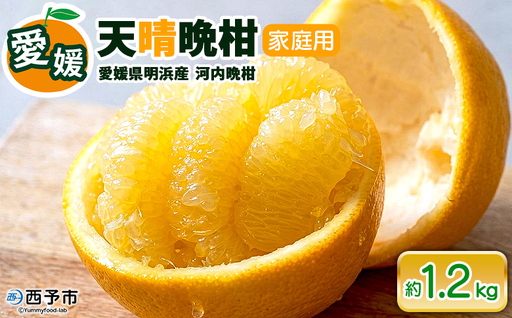 先行予約受付[天晴晩柑(河内晩柑)家庭用 約1.2kg]『2026年4月上旬〜5月下旬迄に順次出荷予定』訳アリ 訳あり 果物 柑橘 みかん 和製 グレープフルーツ 食べて応援 特産品 株式会社笑丸 愛媛県明浜産 愛媛県 西予市[常温]AAN0089