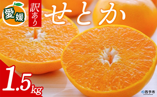 先行予約[訳あり 愛媛県産せとか 合計約1.5kg] 『2027年2月以降順次出荷予定』ご家庭用 ご自宅用 お試し 芳醇 わけあり 果物 柑橘 フルーツ 高級柑橘 国産 とろける食感 濃厚 果汁 産地直送 特産品 ミヤモトオレンジガーデン 愛媛県 西予市[常温]ONM0002