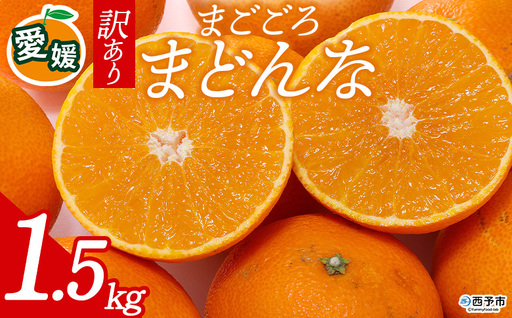 先行予約[訳あり 愛媛県産 まごころまどんな 合計約1.5kg] 『2026年11月以降順次出荷予定』ご家庭用 ご自宅用 紅まどんな マドンナ お試し わけあり 果物 柑橘 フルーツ 高級 国産 濃厚 果汁 産地直送 ミヤモトオレンジガーデン 愛媛県 西予市[常温]ONM0011