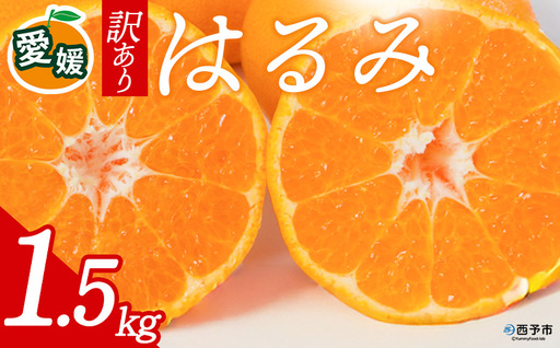 先行予約[訳あり 愛媛県産 はるみ 合計約1.5kg] 『2027年2月以降順次出荷予定』 溢れる果汁 フレッシュ ご家庭用 ご自宅 大粒 果肉 お試し わけあり 果物 柑橘 フルーツ オレンジ 国産 濃厚 産地直送 ミヤモトオレンジガーデン 愛媛県 西予市[常温]ONM0007