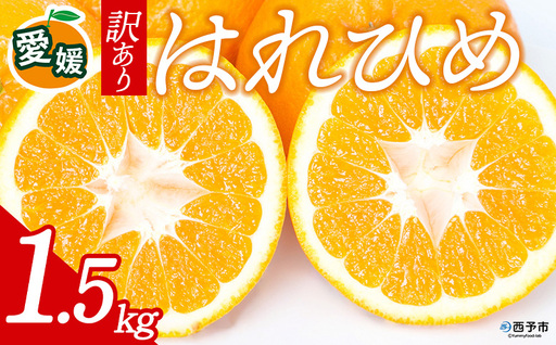 先行予約[訳あり 愛媛県産 はれひめ 合計約1.5kg] 『2026年12月下旬以降順次出荷予定』 みかん フレッシュ ご家庭用 ご自宅 柔らか 果肉 お試し 果物 柑橘 フルーツ オレンジ 国産 産地直送 特産品 ミヤモトオレンジガーデン 愛媛県 西予市[常温]ONM0008