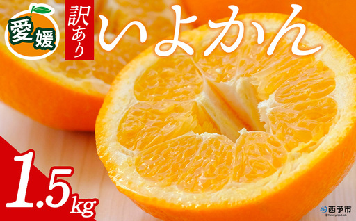 先行予約[訳あり 愛媛県産 いよかん 合計約1.5kg] 『2027年1月以降順次出荷予定』 みかん フレッシュ ご家庭用 ご自宅 伊予柑 果肉 お試し 果物 柑橘 フルーツ オレンジ 国産 濃厚 果汁 産地直送 ミヤモトオレンジガーデン 愛媛県 西予市[常温]ONM0001