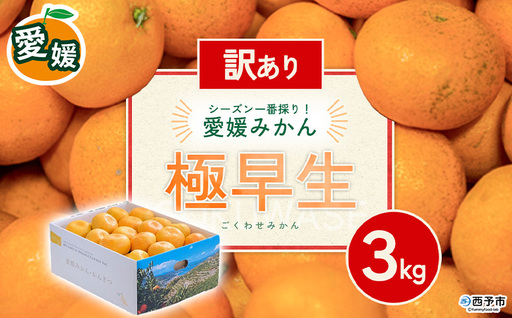 先行予約[訳あり 愛媛県産 極早生みかん 合計約3kg] 『2026年10月以降順次出荷予定』 みかん フレッシュ ご家庭用 ご自宅 ごくわせ キロ 果肉 お試し 果物 柑橘 フルーツ オレンジ 国産 濃厚 産地直送 ミヤモトオレンジガーデン 愛媛県 西予市[常温]ONM0015