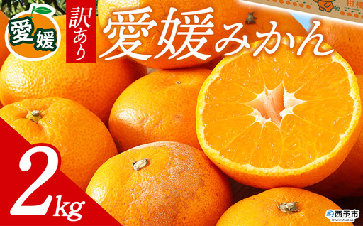 先行予約[訳あり 愛媛みかん 合計約2kg] 『2026年11月以降順次出荷予定』温州 みかん フレッシュ ご家庭用 ご自宅 蜜柑 愛媛県産 キロ 果肉 お試し 果物 柑橘 フルーツ オレンジ 国産 濃厚 産地直送 ミヤモトオレンジガーデン 愛媛県 西予市[常温]ONM0012