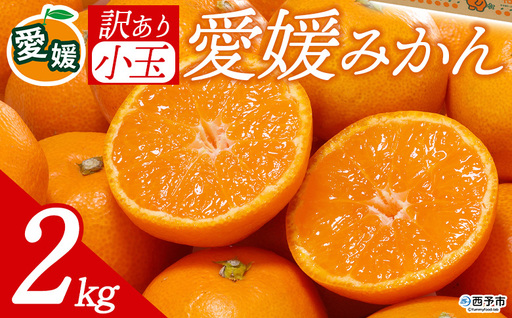 先行予約[訳あり 愛媛県産 小玉みかん 合計約2kg] 『2026年11月以降順次出荷予定』 甘さ凝縮 フレッシュ ご家庭用 ご自宅 蜜柑 果肉 お試し 果物 柑橘 フルーツ オレンジ 国産 濃厚 果汁 産地直送 ミヤモトオレンジガーデン 愛媛県 西予市[常温]ONM0017