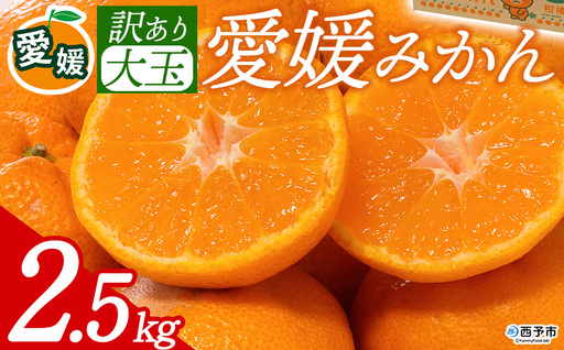 先行予約[訳あり 大玉 愛媛みかん 合計約2.5kg] 『2026年11月以降順次出荷予定』温州 みかん フレッシュ ご家庭用 ご自宅 蜜柑 愛媛県産 果肉 お試し 果物 柑橘 フルーツ オレンジ 国産 産地直送 ミヤモトオレンジガーデン 愛媛県 西予市[常温]ONM0018