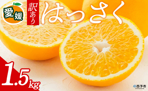 先行予約[訳あり 愛媛県産 八朔 合計約1.5kg] 『2027年2月中旬以降順次出荷予定』はっさく ぷりぷり食感 爽やか 酸味 ご家庭用 ご自宅 蜜柑 果肉 果物 柑橘 フルーツ オレンジ 国産 濃厚 産地直送 ミヤモトオレンジガーデン 愛媛県 西予市[常温]ONM0005