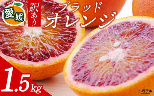 先行予約[訳あり 愛媛県産 ブラッドオレンジ 合計約1.5kg] 『2027年2月以降順次出荷予定』タロッコ 希少 赤い みかん ご家庭用 ご自宅 蜜柑 果肉 果物 柑橘 フルーツ オレンジ 国産 濃厚 産地直送 ミヤモトオレンジガーデン 愛媛県 西予市[常温]ONM0009