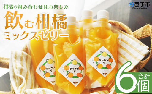 ＜つるんと食感の飲む柑橘ミックスゼリー 6個＞『1か月以内に順次発送予定』果物ゼリー くだもの ゼリー パウチ みかん 蜜柑 デザート スイーツ おやつ のむ ストレート 果汁 100％ 食感 ぷるぷる お楽しみ 渡江から一歩を踏み出す会 愛媛県 西予市 【常温】ATI0052