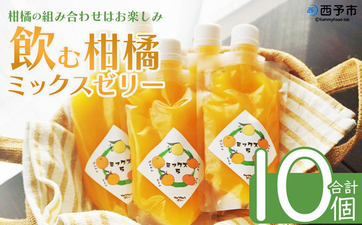 ＜つるんと食感の飲む柑橘ミックスゼリー 10個＞『1か月以内に順次発送予定』果物ゼリー くだもの ゼリー パウチ みかん 蜜柑 デザート スイーツ おやつ のむ ストレート 果汁 100％ 食感 ぷるぷる お楽しみ 渡江から一歩を踏み出す会 愛媛県 西予市 【常温】ATI0051