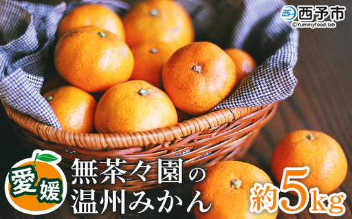 [先行予約][無茶々園 温州みかん 約5kg] 果物 くだもの ミカン 蜜柑 柑橘 フルーツ うんしゅうみかん 贈り物 ギフト おいしい 期間限定 季節限定 食べて応援 特産品 愛媛県 西予市 [常温]『2026年11月〜12月に順次出荷予定』AMC0059