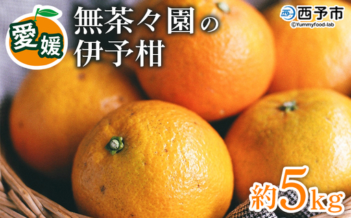[先行予約][無茶々園の伊予柑 約5kg] 果物 いよかん イヨカン みかん ミカン 蜜柑 柑橘 フルーツ 期間限定 季節限定 特産品 愛媛県 西予市[常温]『2027年1月中旬〜2月中旬に順次出荷予定』AMC0060