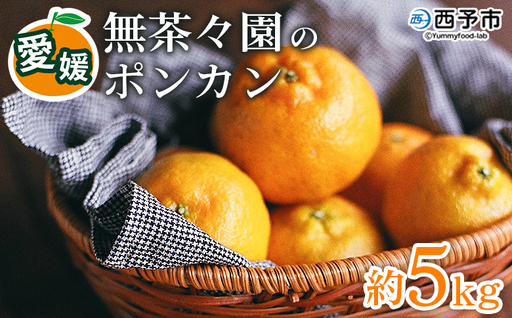 [先行予約][無茶々園のポンカン 約5kg] 果物 くだもの フルーツ ぽんかん みかん 蜜柑 柑橘類 かんきつ 旬 甘い 濃厚 新鮮 期間限定 季節限定 産地直送 特産品 愛媛県 西予市 [常温]『2027年1月〜2月中旬に順次出荷予定』AMC0061