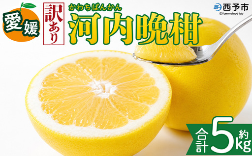 [[訳あり]愛媛県産 河内晩柑 約5kg]『2026年4月上旬〜8月下旬迄に順次発送予定』わけあり 訳アリ みずみずしい 和製グレープフルーツ かわちばんかん みかん 蜜柑 果物 くだもの フルーツ ミカン 愛媛 国産 特産品 株式会社三代目みかん職人 愛媛県 西予市[冷蔵]OSM0018
