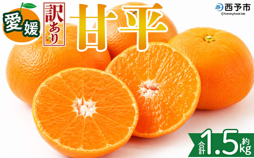 [[訳あり]愛媛県産 甘平 約1.5kg]『2027年2月上旬〜3月下旬迄に順次発送予定』 わけあり 訳アリ 甘い かんぺい みかん 蜜柑 訳あり 果物 くだもの フルーツ ミカン シャキシャキ 果汁 国産 株式会社三代目みかん職人 愛媛県 西予市[常温]OSM0002