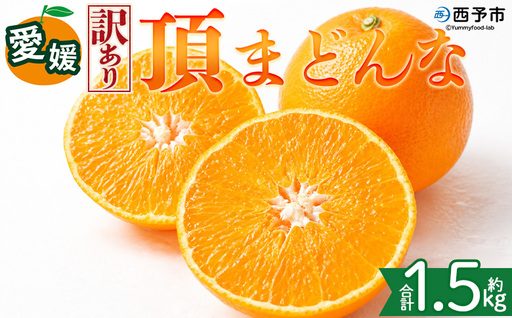 [[訳あり]愛媛県産 頂まどんな 約1.5kg]『2026年11月下旬〜1月上旬迄順次発送予定』 わけあり 訳アリ 甘い とろける 食感 ゼリー食感 マドンナ 高級柑橘 みかん 蜜柑 果物 くだもの フルーツ ミカン 果汁 国産 特産品 株式会社三代目みかん職人 愛媛 西予市[常温]OSM0003