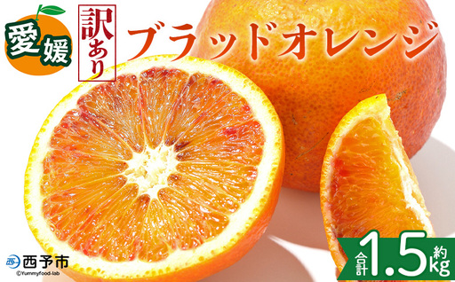 [[訳あり]愛媛県産 ブラッドオレンジ 約1.5kg]『2027年2月下旬〜3月下旬迄順次発送予定』わけあり 訳アリ 果汁 ジューシー みかん 蜜柑 果物 くだもの フルーツ ミカン 果汁 国産 特産品 株式会社三代目みかん職人 愛媛 西予市[冷蔵]OSM0005
