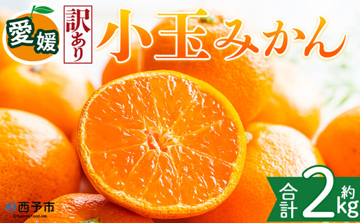 [[訳あり]愛媛県産 小玉みかん 約2kg]『2026年11月上旬〜1月下旬迄順次発送予定』 わけあり 訳アリ 濃厚 甘い 小さい こだま みかん 蜜柑 訳あり 果物 くだもの フルーツ ミカン 果汁 国産 特産品 株式会社三代目職人 愛媛 西予市[常温]OSM0008