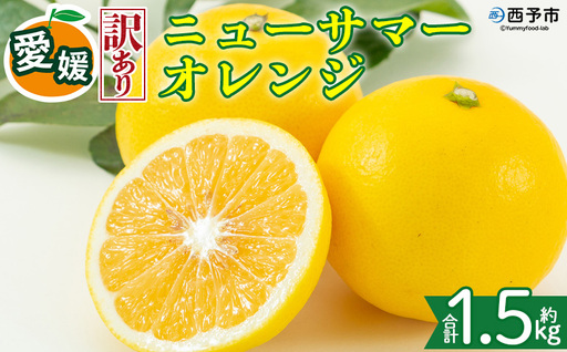 [[訳あり]愛媛県産 ニューサマーオレンジ 約1.5kg]『2027年4月上旬〜5月中旬迄順次発送予定』 わけあり 訳アリ ジューシー 日向夏 みかん 蜜柑 果物 くだもの フルーツ ミカン 果汁 国産 特産品 株式会社三代目みかん職人 愛媛 西予市[冷蔵]OSM0014
