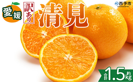 [[訳あり]愛媛県産 清見 約1.5kg]『2027年2月上旬〜4月下旬迄順次発送予定』 わけあり ジューシー 果肉 訳アリ きよみ みかん 柑橘 蜜柑 果物 くだもの フルーツ ミカン 果汁 国産 特産品 株式会社三代目みかん職人 愛媛 西予市[常温]OSM0016