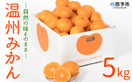 [温州みかん 約5kg] 柑橘 みかん ミカン 蜜柑 果物 くだもの フルーツ オレンジ うんしゅうみかん 国産 愛媛県産 特産品 おれんじはーと 食べて応援 西宇和 愛媛県 西予市 [常温]『2025年11月中旬〜12月中旬迄に順次出荷予定』