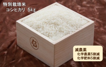 令和5年産 西予市宇和町産特別栽培米コシヒカリ5kg