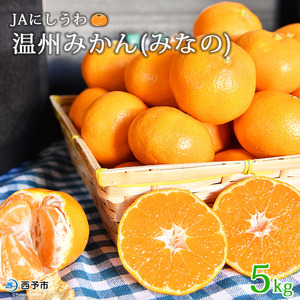 JAにしうわ 温州みかん「みなの」5kg