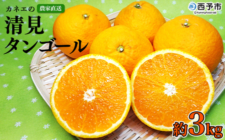 ���J�l�G�̐��F�a�Y �����^���S�[�� 3kg�O�い �ƒ�p �_�ƒ��� �ʕ� �������� �t���[�c �~�J�� �I�����W �������� �T�C�Y���� ���̂����_�� �H�ׂĉ��� ���Y�i ���F�a ���Q�� ���\�s�y�퉷