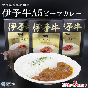 ご当地カレー「伊予牛A5ビーフカレー」