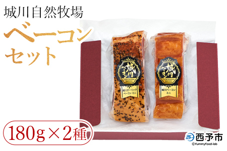 [城川自然牧場 ベーコンセット(180g×2種)] 城川ガーリックベーコン 豚肉 厚切り 国産 詰め合わせ 加工品 城川ファクトリー 特産品 贈答用 贈り物 愛媛県 西予市[冷蔵]『1か月以内に順次出荷予定』SSF0007