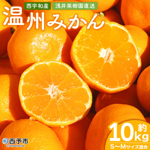 s\ ʎ B݂ 10kgi승20j ʕ k t[c ~J  IW 񂵂イ݂ EVE~J Hׂĉ Yi Fa Q \s y퉷zw2