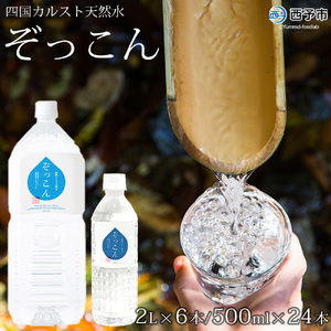 四国カルスト天然水ぞっこん 500mL×24本、2L×6本