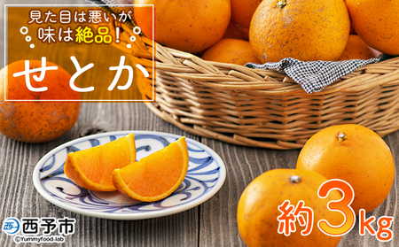 先行予約 [見た目は悪いが味は絶品 無茶々園のせとか 約3kg]果物 みかん ミカン 蜜柑 柑橘 フルーツ 期間限定 季節限定 特産品 無茶々園 愛媛県 西予市[常温]『2025年2月下旬〜3月迄に順次出荷予定』AMC0014