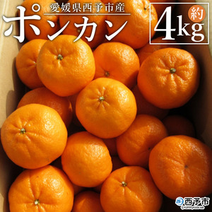 [愛媛県西予市産 ポンカン 約4kg 家庭用] 果物 くだもの ミカン 柑橘 ぽんかん フルーツ 旬 おいしい サイズ不揃い キズあり 特産品 段畑みかん 愛媛県 西予市[常温]『2025年1月中旬〜2月中旬に順次出荷予定』ADM0012